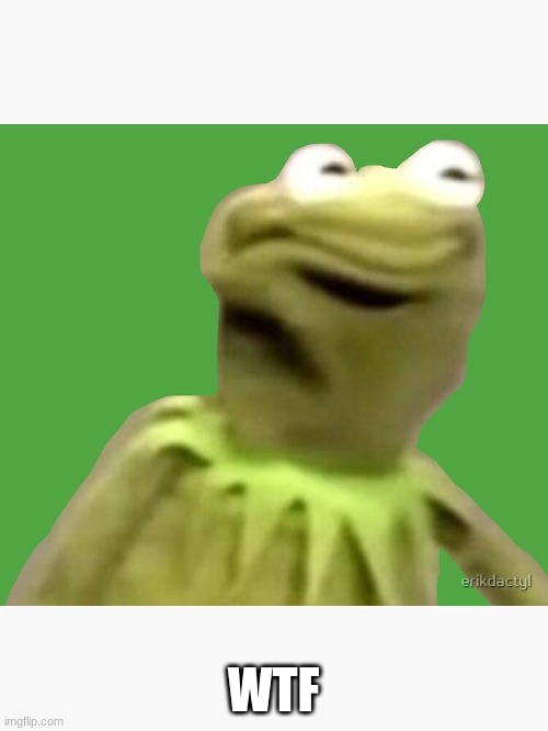 WTF | made w/ Imgflip meme maker