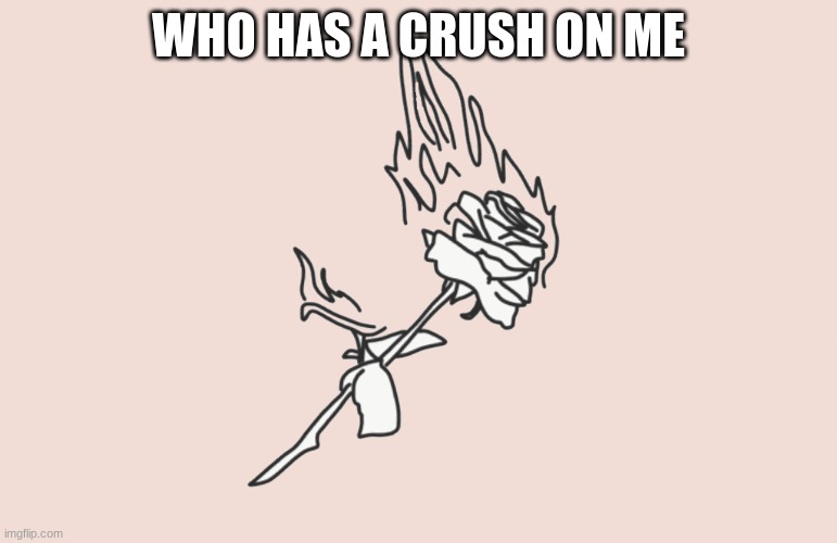 burning rose | WHO HAS A CRUSH ON ME | image tagged in burning rose | made w/ Imgflip meme maker