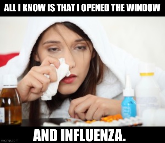 Influenza | ALL I KNOW IS THAT I OPENED THE WINDOW; AND INFLUENZA. | image tagged in sick | made w/ Imgflip meme maker