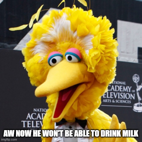 Big Bird Meme | AW NOW HE WON'T BE ABLE TO DRINK MILK | image tagged in memes,big bird | made w/ Imgflip meme maker