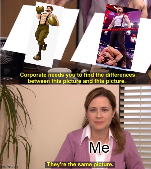 They're The Same Picture | Me | image tagged in memes,they're the same picture,wwe,sheamus | made w/ Imgflip meme maker