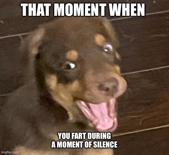 Jaeger | THAT MOMENT WHEN; YOU FART DURING A MOMENT OF SILENCE | image tagged in jaeger | made w/ Imgflip meme maker