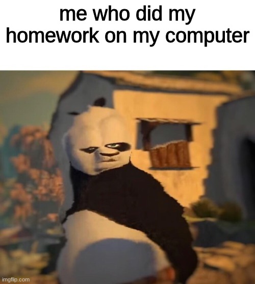 Drunk Kung Fu Panda | me who did my homework on my computer | image tagged in drunk kung fu panda | made w/ Imgflip meme maker