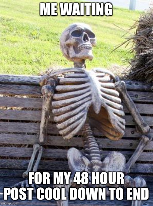 Waiting Skeleton Meme | ME WAITING; FOR MY 48 HOUR POST COOL DOWN TO END | image tagged in memes,waiting skeleton | made w/ Imgflip meme maker