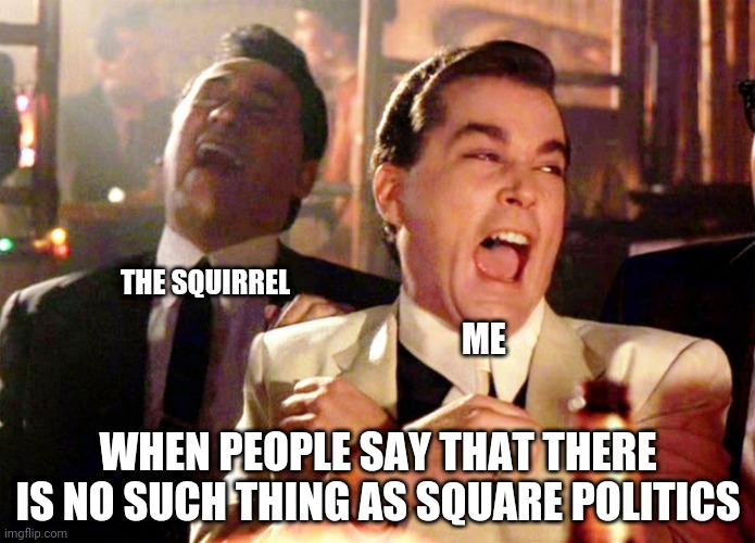 When people say | THE SQUIRREL; ME; WHEN PEOPLE SAY THAT THERE IS NO SUCH THING AS SQUARE POLITICS | image tagged in memes,good fellas hilarious,squirrel,squirrel ploitics,funny | made w/ Imgflip meme maker