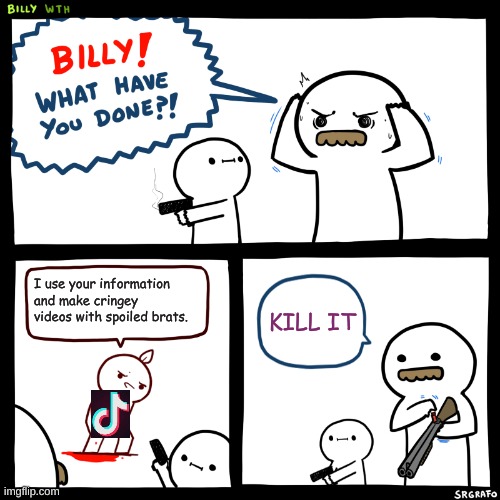 Billy, What Have You Done | I use your information and make cringey videos with spoiled brats. KILL IT | image tagged in billy what have you done | made w/ Imgflip meme maker