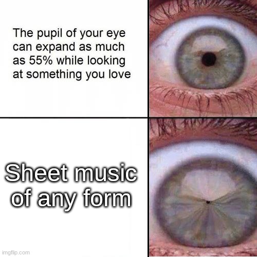 Other self-taught musicians will understand. *wink* | Sheet music of any form | image tagged in eye pupil shrinking template | made w/ Imgflip meme maker