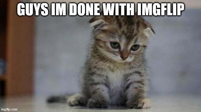 Sad kitten | GUYS IM DONE WITH IMGFLIP | image tagged in sad kitten | made w/ Imgflip meme maker
