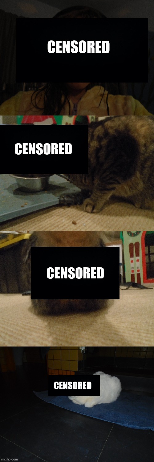 Face And Cat Reveal But Censored Imgflip