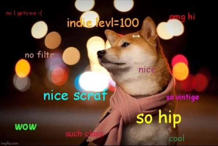 Hip doge | image tagged in memes | made w/ Imgflip meme maker