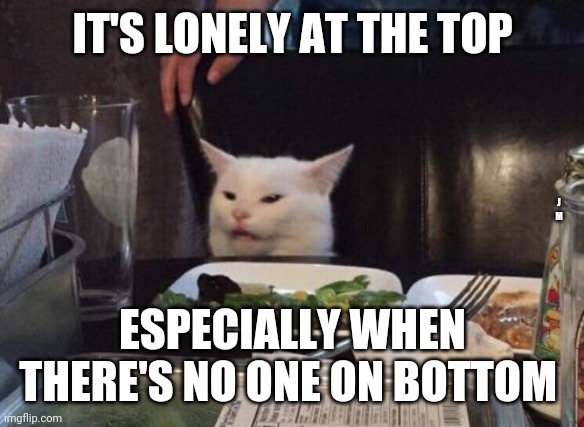 Salad cat | IT'S LONELY AT THE TOP; J M; ESPECIALLY WHEN THERE'S NO ONE ON BOTTOM | image tagged in salad cat | made w/ Imgflip meme maker