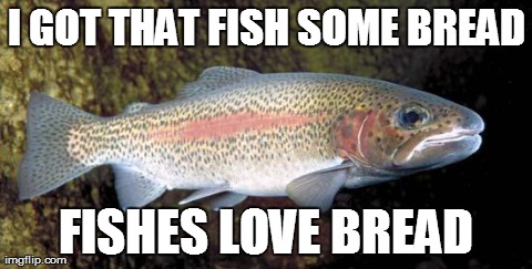 I GOT THAT FISH SOME BREAD FISHES LOVE BREAD | made w/ Imgflip meme maker
