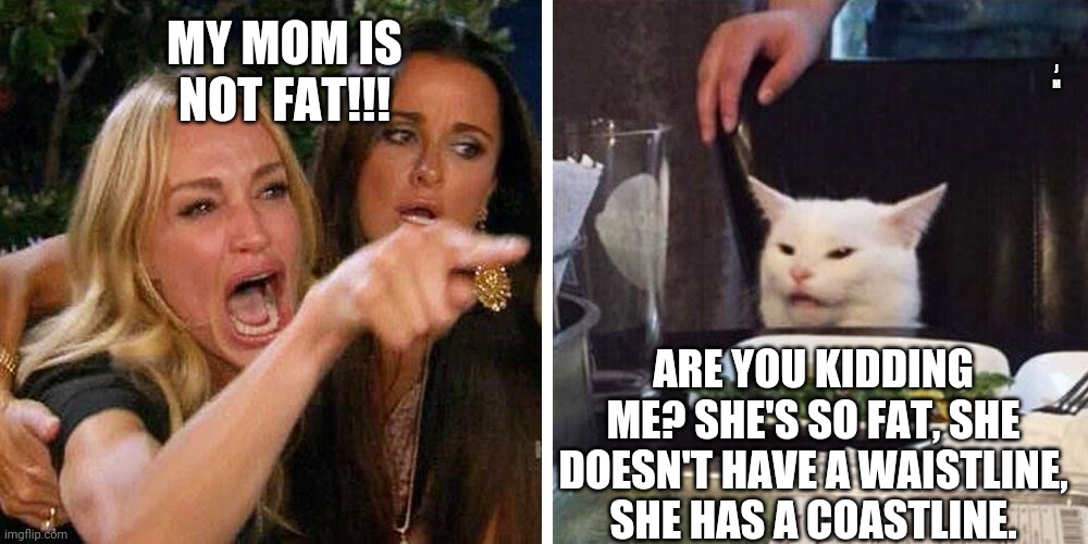 Smudge the cat | J M; MY MOM IS NOT FAT!!! ARE YOU KIDDING ME? SHE'S SO FAT, SHE DOESN'T HAVE A WAISTLINE,  SHE HAS A COASTLINE. | image tagged in smudge the cat | made w/ Imgflip meme maker