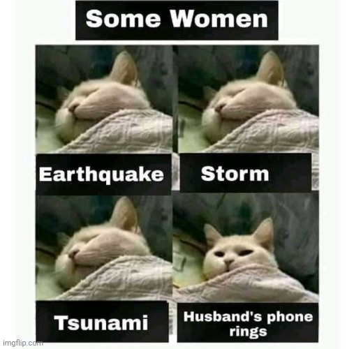 Lol memes | image tagged in husband wife,angry wife,lol so funny,funny memes | made w/ Imgflip meme maker