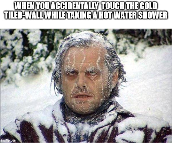 yeah that happens | WHEN YOU ACCIDENTALLY  TOUCH THE COLD TILED-WALL WHILE TAKING A HOT WATER SHOWER | image tagged in frozen jack | made w/ Imgflip meme maker