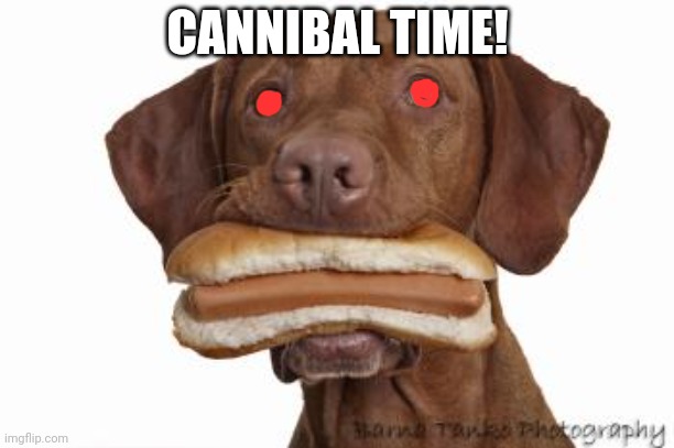 Dog eating hot dog | CANNIBAL TIME! | image tagged in dog eating hot dog | made w/ Imgflip meme maker