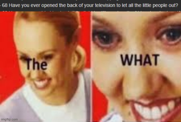 image tagged in the what | made w/ Imgflip meme maker