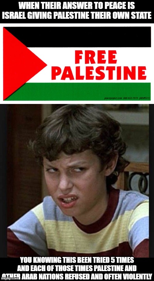 WHEN THEIR ANSWER TO PEACE IS ISRAEL GIVING PALESTINE THEIR OWN STATE; YOU KNOWING THIS BEEN TRIED 5 TIMES AND EACH OF THOSE TIMES PALESTINE AND OTHER ARAB NATIONS REFUSED AND OFTEN VIOLENTLY | image tagged in annoyed,free palestine,israel,tf,bruh,facts | made w/ Imgflip meme maker