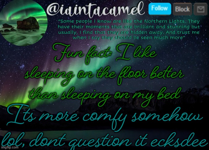 iaintacamel | Fun fact: I like sleeping on the floor better than sleeping on my bed; Its more comfy somehow lol, dont question it ecksdee | image tagged in iaintacamel | made w/ Imgflip meme maker