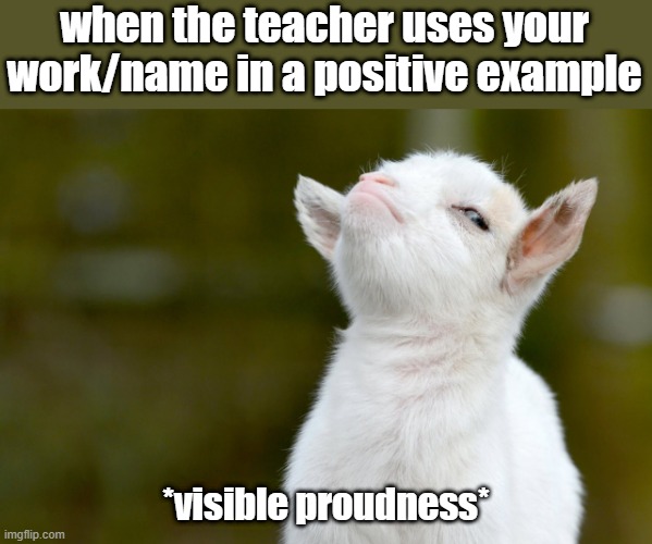 when the teacher uses your work/name in a positive example; *visible proudness* | image tagged in proud baby goat | made w/ Imgflip meme maker