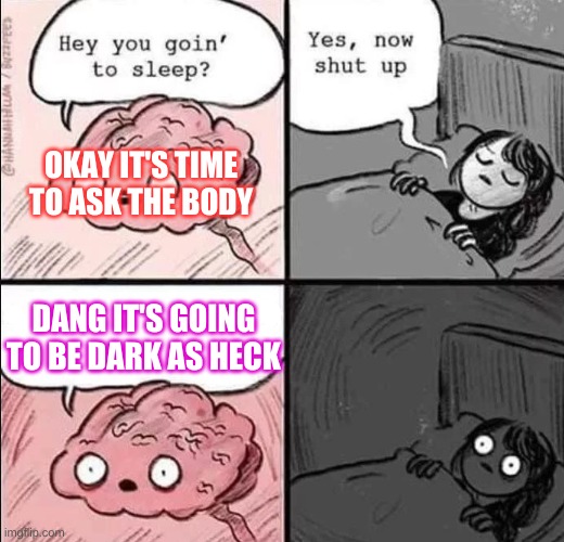waking up brain | OKAY IT'S TIME TO ASK THE BODY; DANG IT'S GOING TO BE DARK AS HECK | image tagged in waking up brain | made w/ Imgflip meme maker
