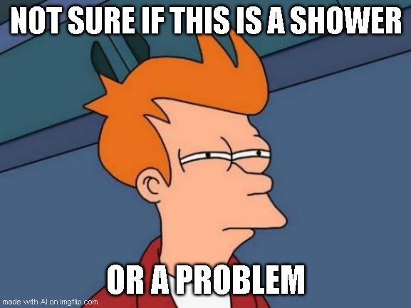 Could be a problem |  NOT SURE IF THIS IS A SHOWER; OR A PROBLEM | image tagged in memes,futurama fry | made w/ Imgflip meme maker