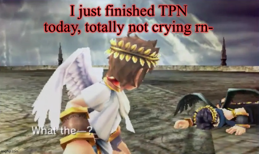 Also my state got hit by a big ass snowstorm so pog ig. | I just finished TPN today, totally not crying rn- | image tagged in kid icarus | made w/ Imgflip meme maker