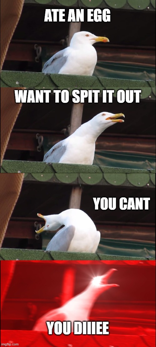 Inhaling Seagull Meme | ATE AN EGG; WANT TO SPIT IT OUT; YOU CANT; YOU DIIIEE | image tagged in memes,inhaling seagull | made w/ Imgflip meme maker