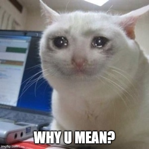 Crying cat | WHY U MEAN? | image tagged in crying cat | made w/ Imgflip meme maker