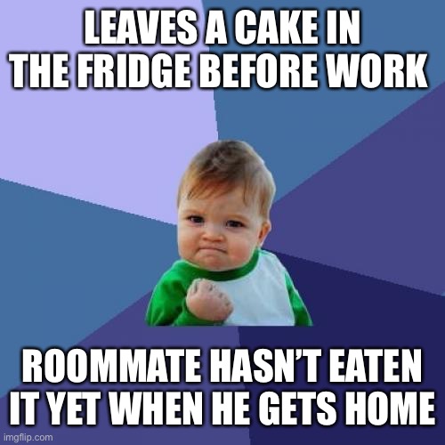 Success Kid Meme | LEAVES A CAKE IN THE FRIDGE BEFORE WORK; ROOMMATE HASN’T EATEN IT YET WHEN HE GETS HOME | image tagged in memes,success kid | made w/ Imgflip meme maker