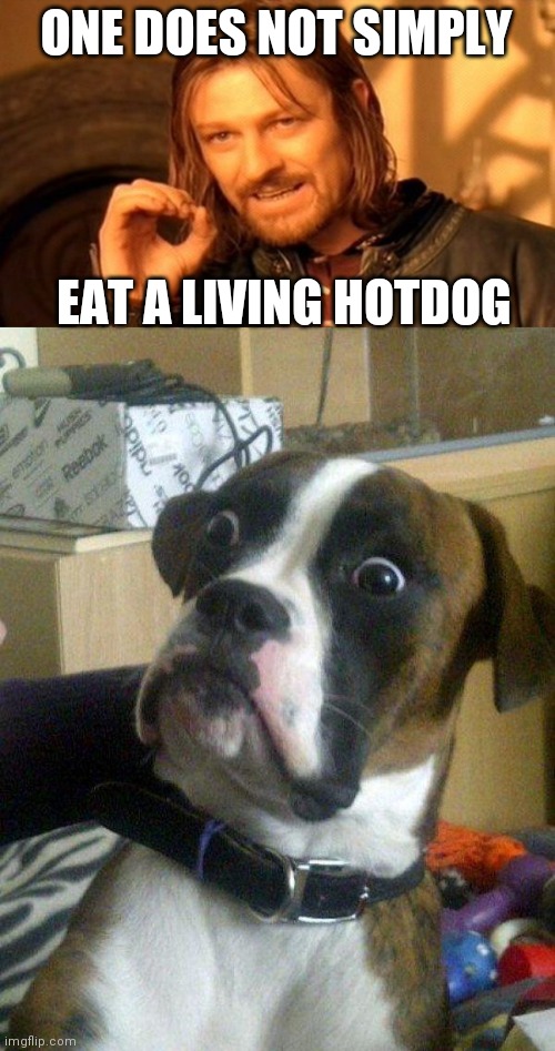 ONE DOES NOT SIMPLY; EAT A LIVING HOTDOG | image tagged in memes,one does not simply,blankie the shocked dog | made w/ Imgflip meme maker