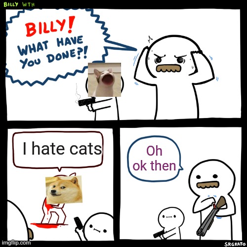 He hate cats!!! | I hate cats; Oh ok then | image tagged in billy what have you done,cats with guns | made w/ Imgflip meme maker