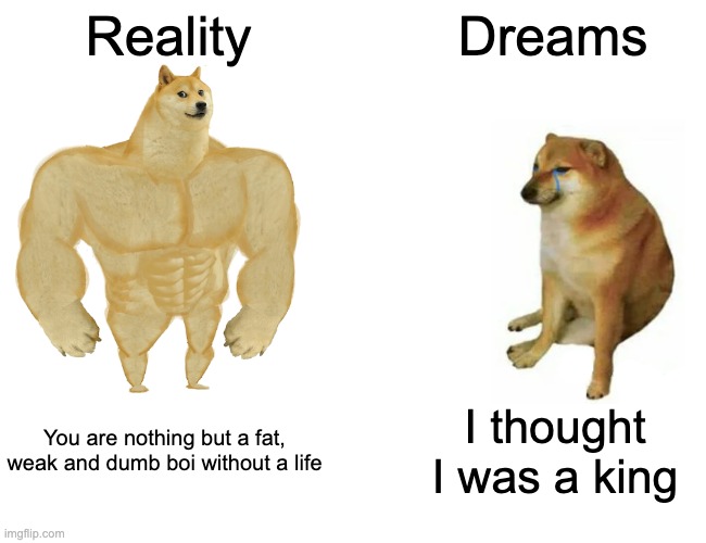 Buff Doge vs. Cheems | Reality; Dreams; You are nothing but a fat, weak and dumb boi without a life; I thought I was a king | image tagged in memes,buff doge vs cheems,reality,dreams | made w/ Imgflip meme maker