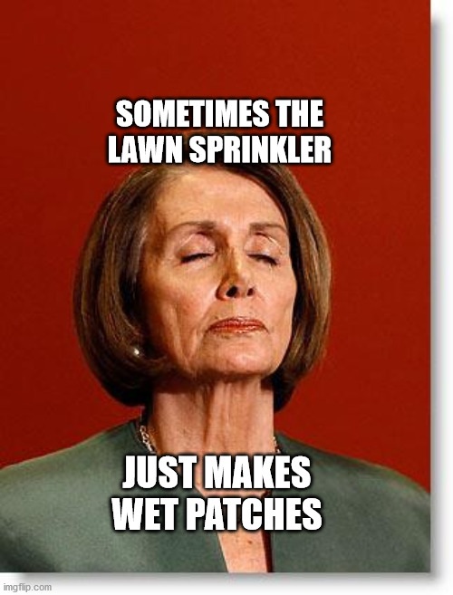 Blind Pelosi | SOMETIMES THE LAWN SPRINKLER; JUST MAKES WET PATCHES | image tagged in blind pelosi | made w/ Imgflip meme maker