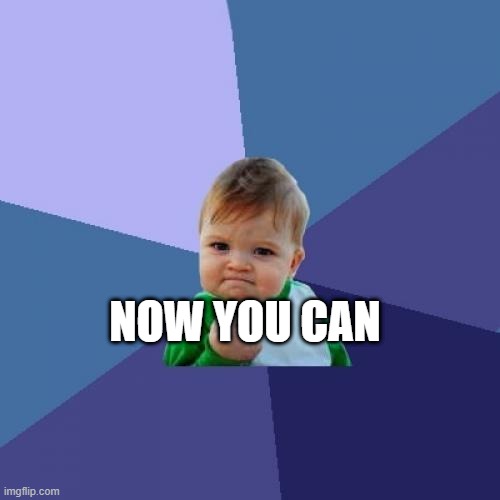 Success Kid Meme | NOW YOU CAN | image tagged in memes,success kid | made w/ Imgflip meme maker