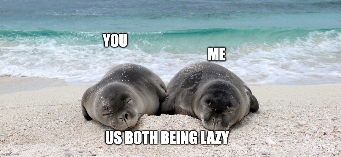 cute monk seal | ME; YOU; US BOTH BEING LAZY | image tagged in cute monk seal | made w/ Imgflip meme maker