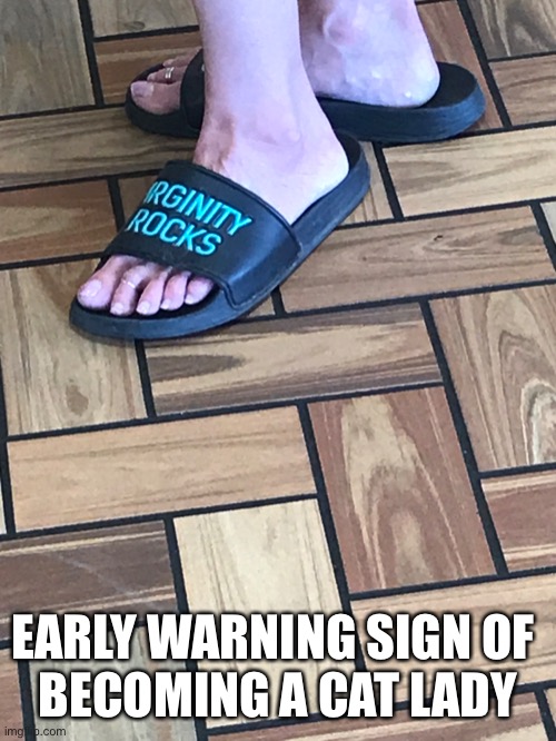 Early warning sign | EARLY WARNING SIGN OF 
BECOMING A CAT LADY | image tagged in cat lady,early sign | made w/ Imgflip meme maker
