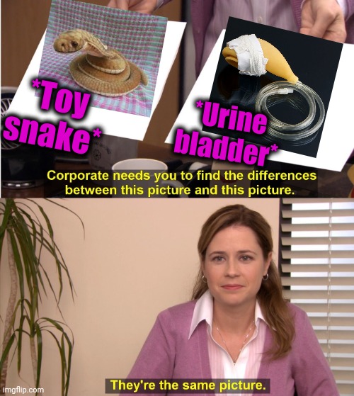 -Pee pie. | *Toy snake*; *Urine bladder* | image tagged in memes,they're the same picture,skeptical snake,toy story,blade,error message | made w/ Imgflip meme maker