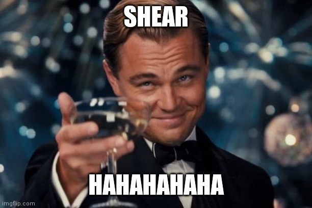 Leonardo Dicaprio Cheers Meme | SHEAR HAHAHAHAHA | image tagged in memes,leonardo dicaprio cheers | made w/ Imgflip meme maker