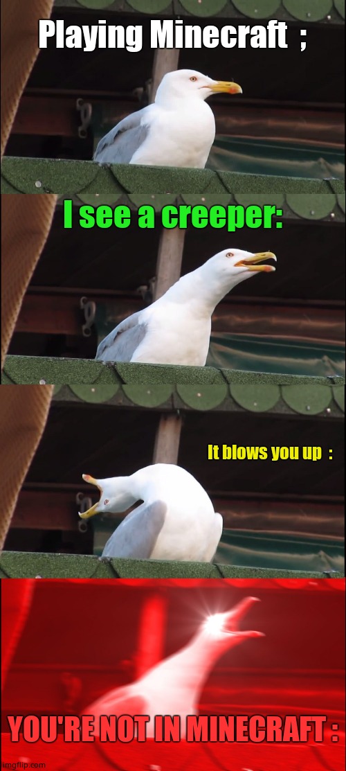 Wait, NANI!? | Playing Minecraft  ;; I see a creeper:; It blows you up  :; YOU'RE NOT IN MINECRAFT : | image tagged in memes,inhaling seagull | made w/ Imgflip meme maker