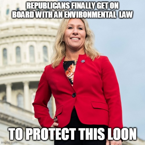 My apologies to actual loons | REPUBLICANS FINALLY GET ON BOARD WITH AN ENVIRONMENTAL  LAW; TO PROTECT THIS LOON | image tagged in greene | made w/ Imgflip meme maker