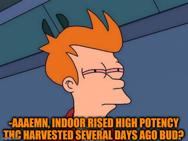 stoned fry | -AAAEMN, INDOOR RISED HIGH POTENCY THC HARVESTED SEVERAL DAYS AGO BUD? | image tagged in stoned fry | made w/ Imgflip meme maker