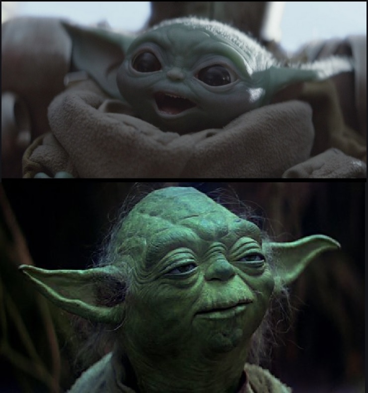 High Quality Young Old Yoda Meme Blank Meme Template