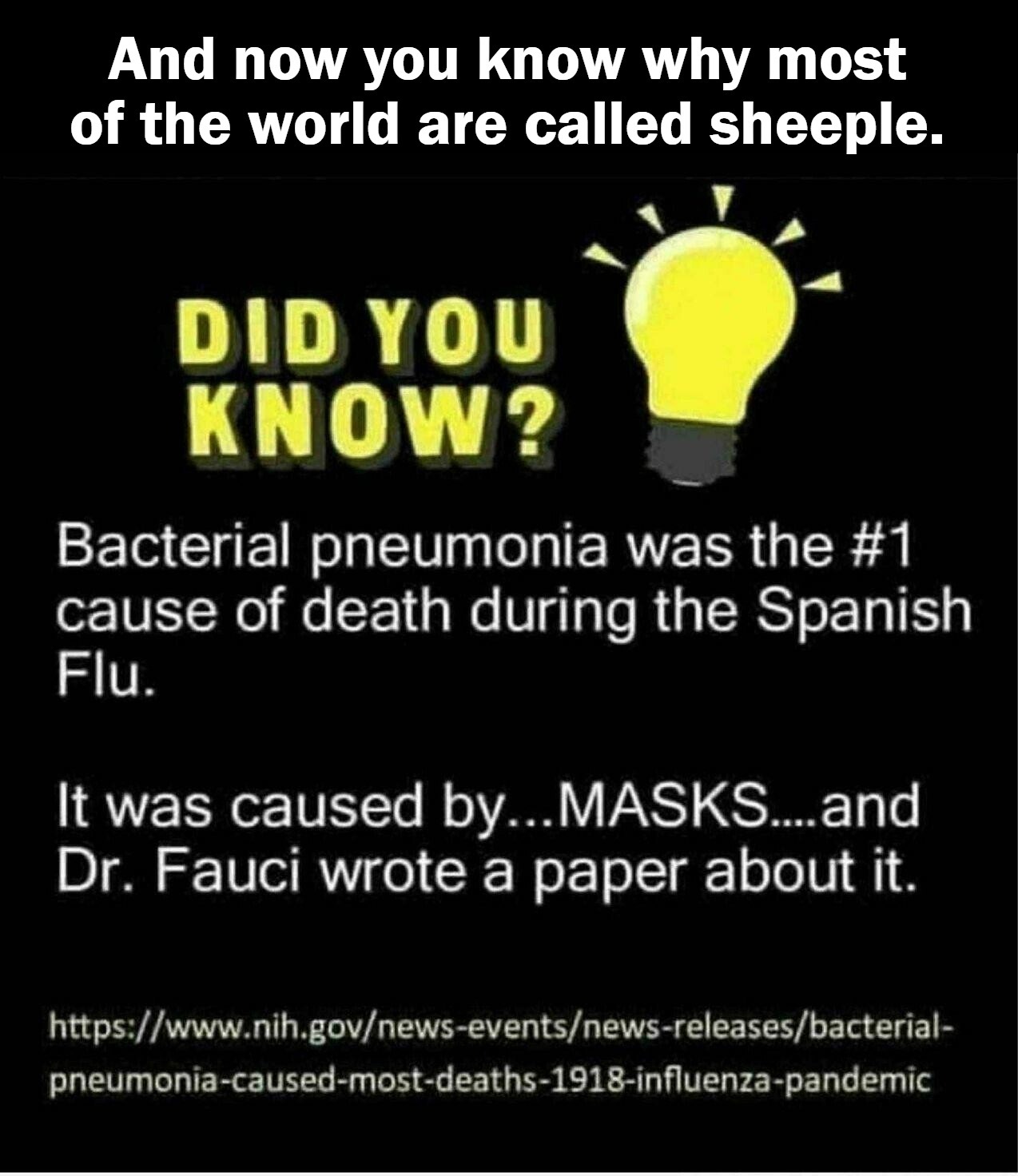 And now you know why most of the world are called sheeple | image tagged in we the sheeple,sheeple,the mask,covidiots,plandemic,agenda 21 depopulation | made w/ Imgflip meme maker