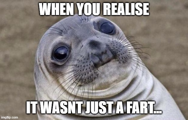 Awkward Moment Sealion | WHEN YOU REALISE; IT WASNT JUST A FART... | image tagged in memes,awkward moment sealion | made w/ Imgflip meme maker
