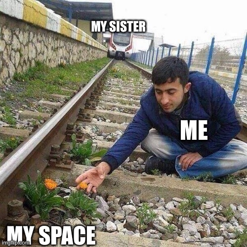 My sister is looking over my shoulder right now. If she could read well, she’d kill me. | MY SISTER; ME; MY SPACE | image tagged in flower train man | made w/ Imgflip meme maker