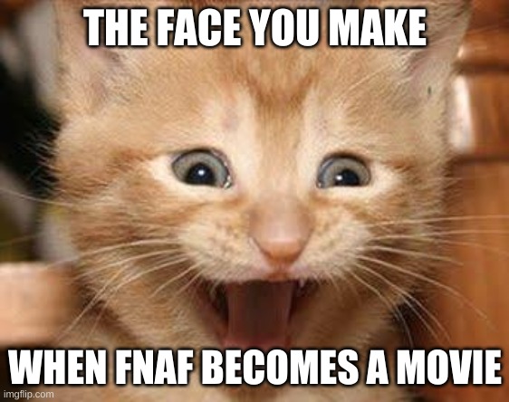 Excited Cat Meme |  THE FACE YOU MAKE; WHEN FNAF BECOMES A MOVIE | image tagged in memes,excited cat | made w/ Imgflip meme maker
