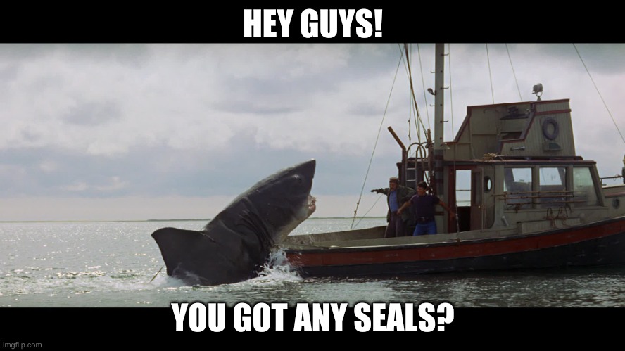 Jaws Boat |  HEY GUYS! YOU GOT ANY SEALS? | image tagged in jaws boat | made w/ Imgflip meme maker