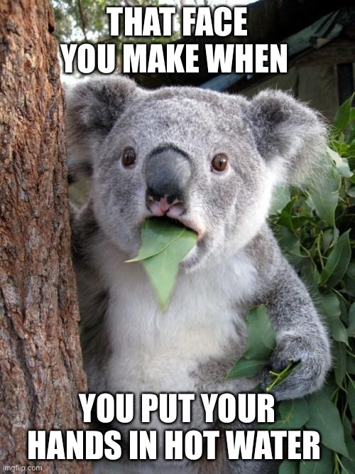 Hot water!! |  THAT FACE YOU MAKE WHEN; YOU PUT YOUR HANDS IN HOT WATER | image tagged in memes,surprised koala,winter,winter is here,hot water | made w/ Imgflip meme maker
