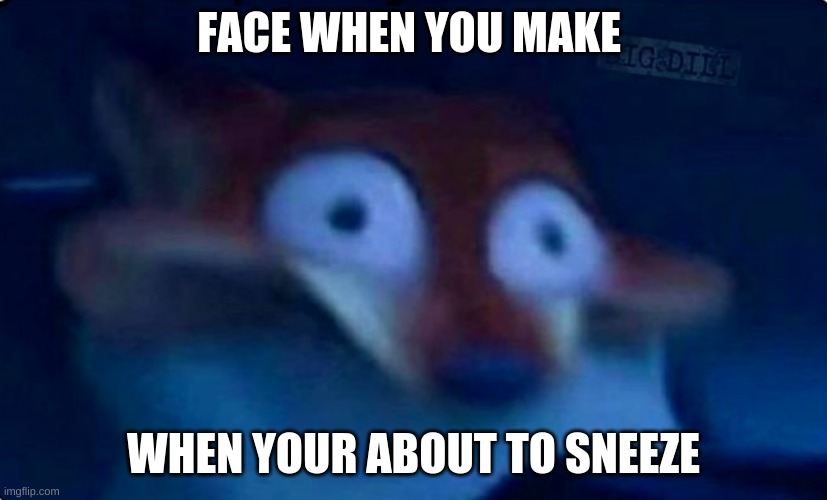 Nick Wilde | FACE WHEN YOU MAKE; WHEN YOUR ABOUT TO SNEEZE | image tagged in nick wilde | made w/ Imgflip meme maker